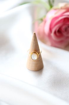 L'atelier des demoiselles 11 Rachel Nacre